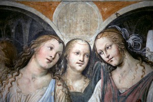 20050722192040_malefemmine